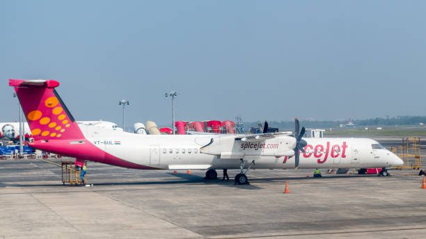 spicejet cargo tracking