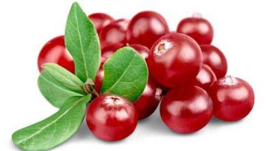 Cranberries