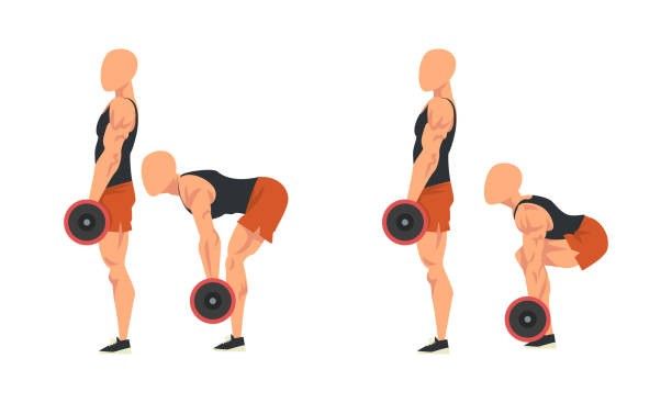 Deadlift Variations 