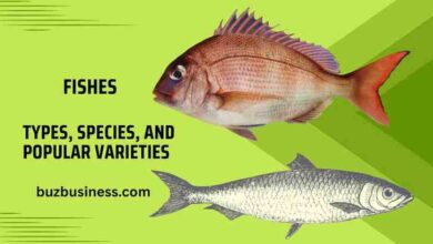 Fishes