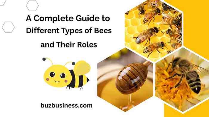 Bees