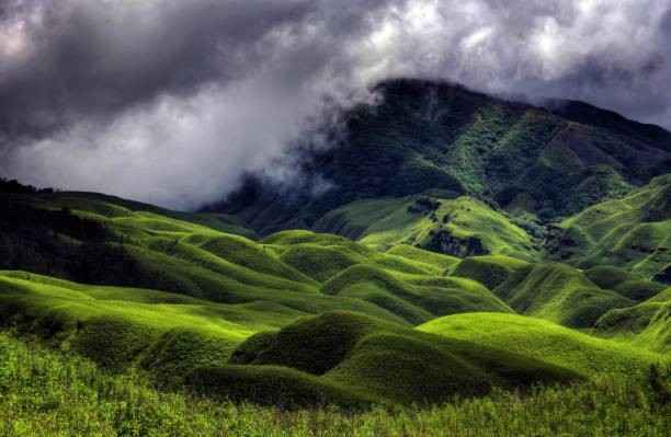 Dzukou Valley, Nagaland