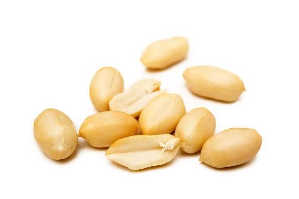 Pine Nut