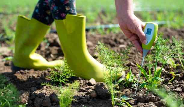 Soil Moisture Meter
