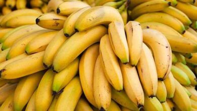 bananas
