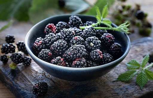 black berry fruit