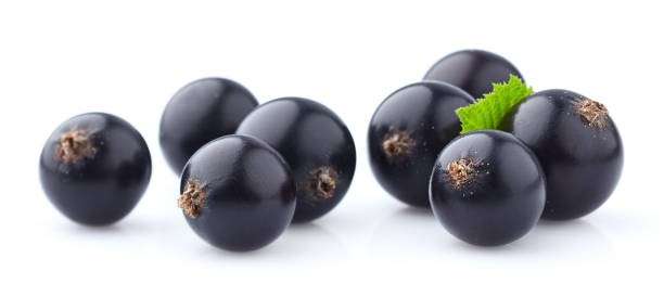 blackcurrant
