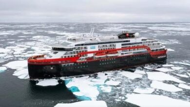 hurtigruten antarctica