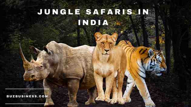 jungle safaris in india
