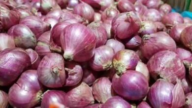 onions