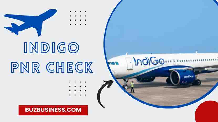 Indigo Pnr Check