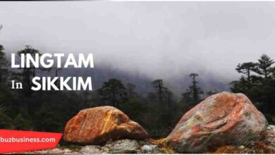Lingtam