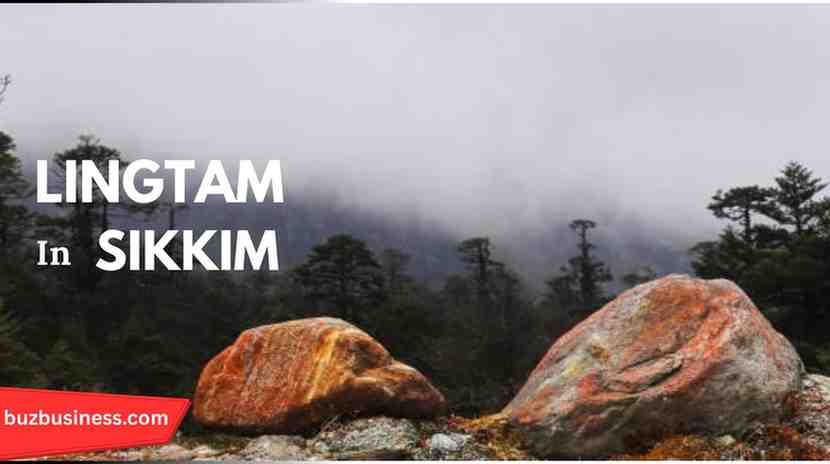 Lingtam