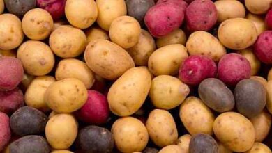Potatoes