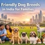 10 friendly dog breeds in India with family.