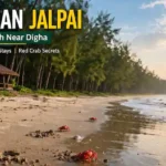 Red crabs on Baguran Jalpai beach near Jhau forest, a quiet travel spot near Digha.