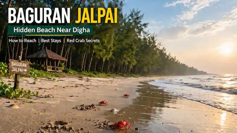 Red crabs on Baguran Jalpai beach near Jhau forest, a quiet travel spot near Digha.