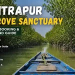 Boat riding through narrow mangrove channels in Bichitrapur Mangrove Sanctuary during high tide.