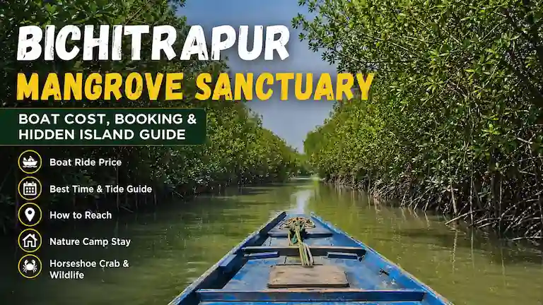 Boat riding through narrow mangrove channels in Bichitrapur Mangrove Sanctuary during high tide.