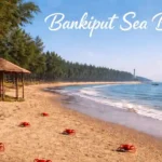 Red crabs on Bankiput Sea Beach with the Dariapur Lighthouse and Jhau forest in the background.