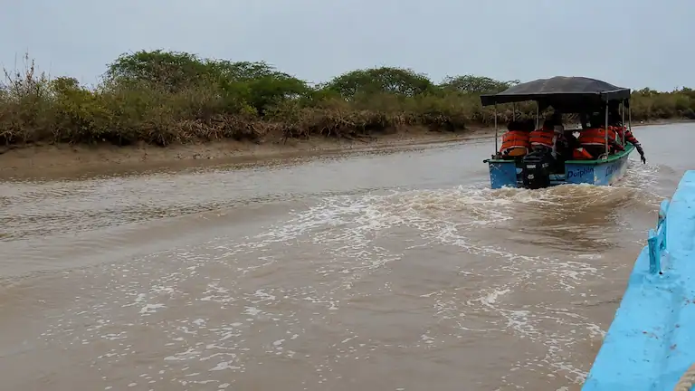 Tourists on a motorboat ride at Bichitrapur Mangrove Sanctuary.