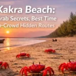 Red crabs on the sand at Lal Kakra Beach during sunset.