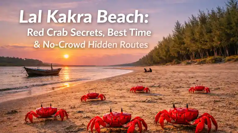 Red crabs on the sand at Lal Kakra Beach during sunset.