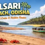 Talsari Beach Odisha guide with red crabs and local boat ferry.