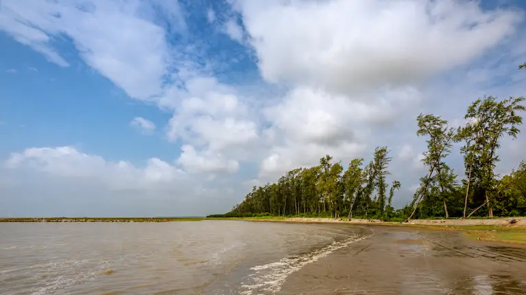 Junput Beach flat sand and Casuarina trees at low tide.