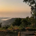 Cloud-filled valley view in offbeat places near Mirik.